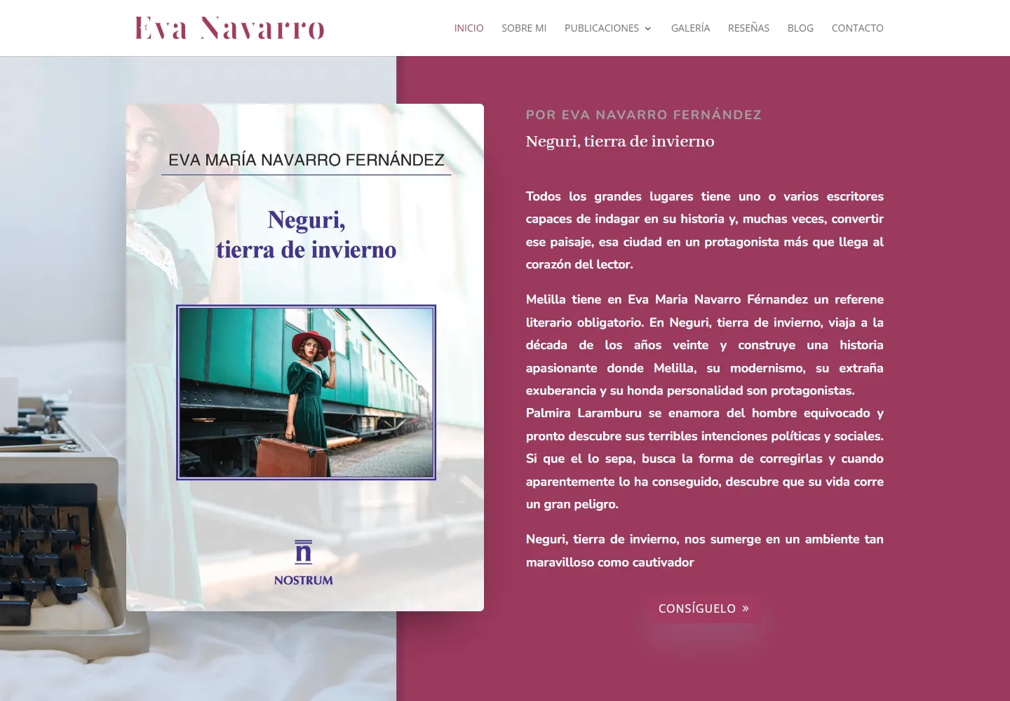 Captura real de escritorio de evanavarro.es